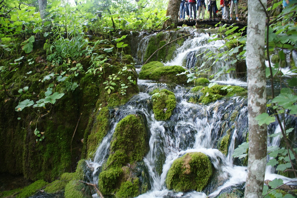 Lacurile Plitvice o minune a naturii | 6
